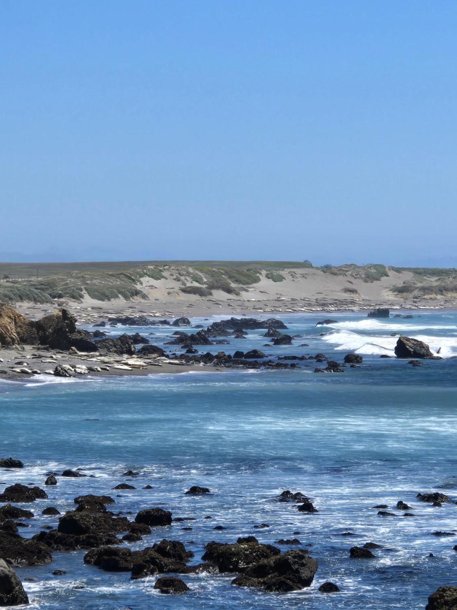 Coast Riders Inn San Simeon Bagian luar foto
